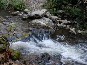 image075